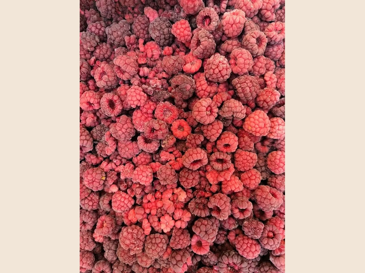 Framboesa inteira congelada 200g Recanto Schwarzer — foto 3