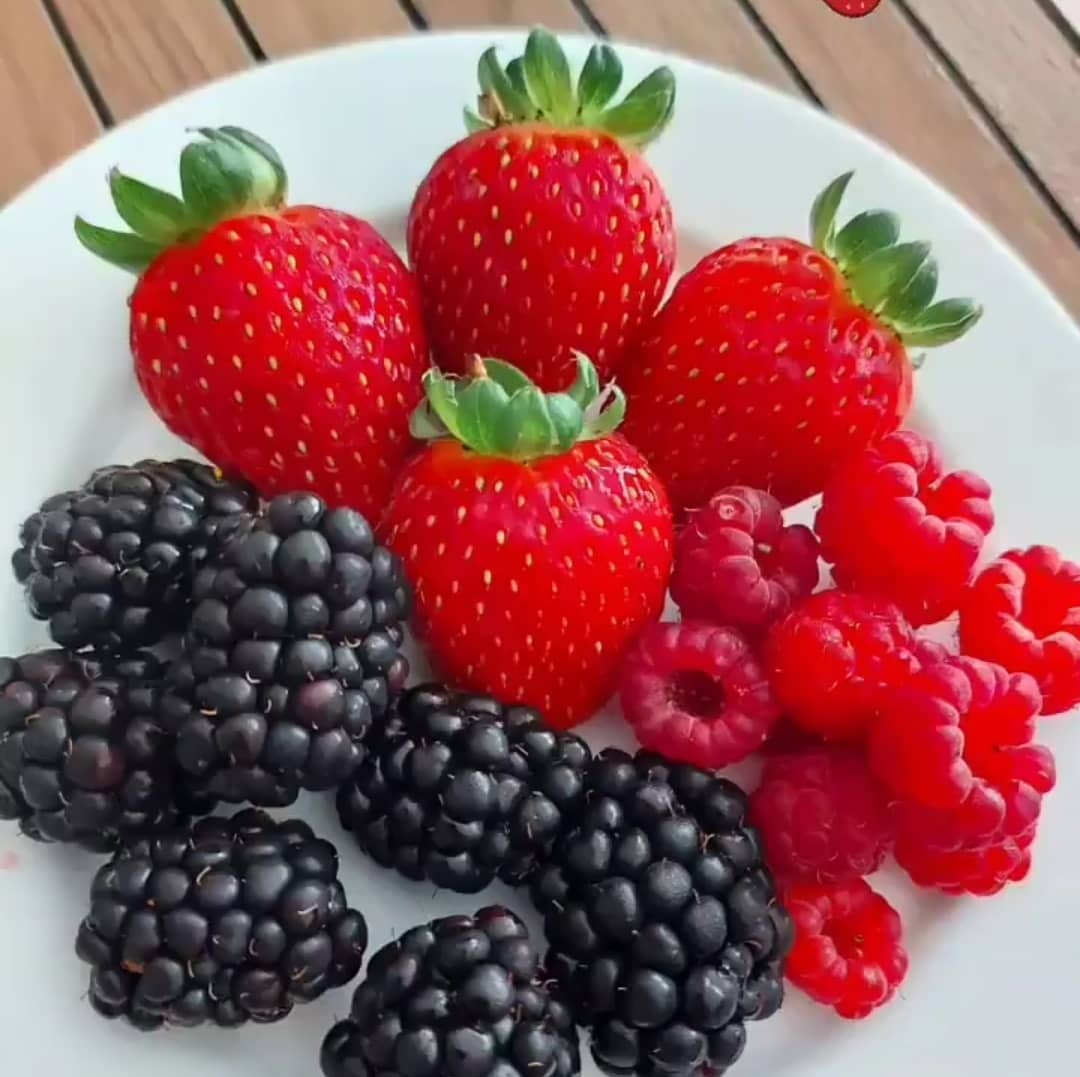 Frutas Congeladas
